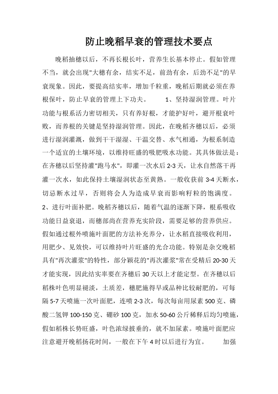 防止晚稻早衰的管理技术要点_第1页