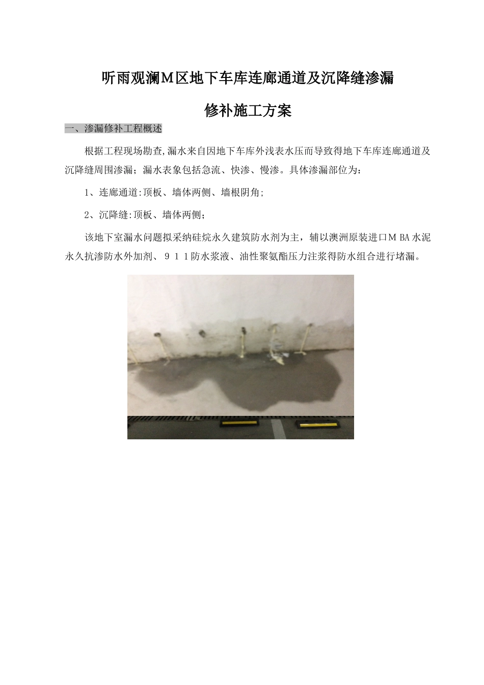 防水渗漏修补施工方案_第1页