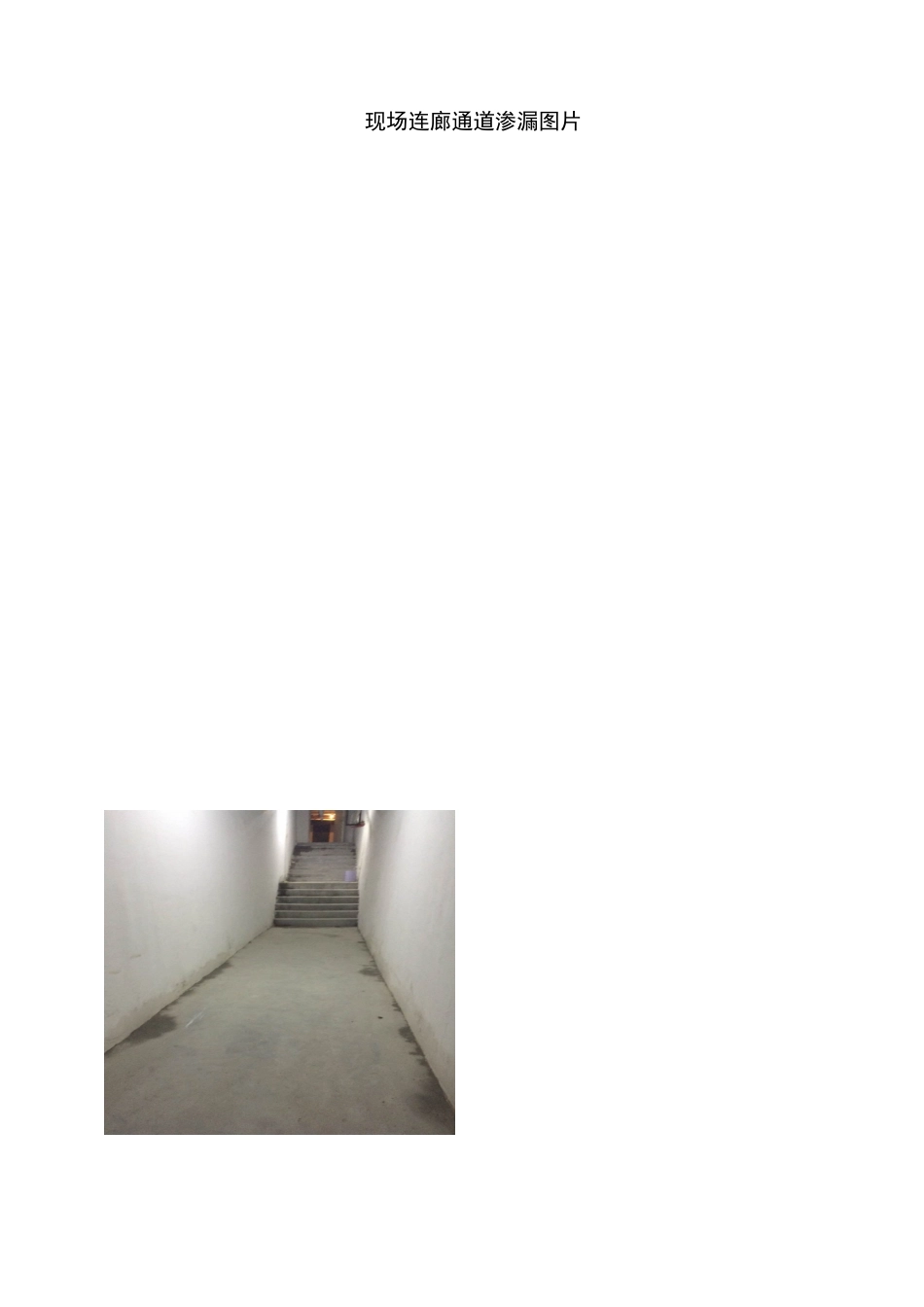 防水渗漏修补施工方案_第2页
