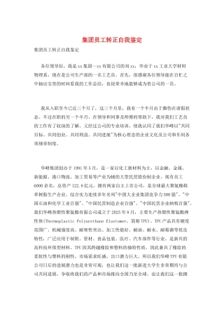 集团员工转正自我鉴定