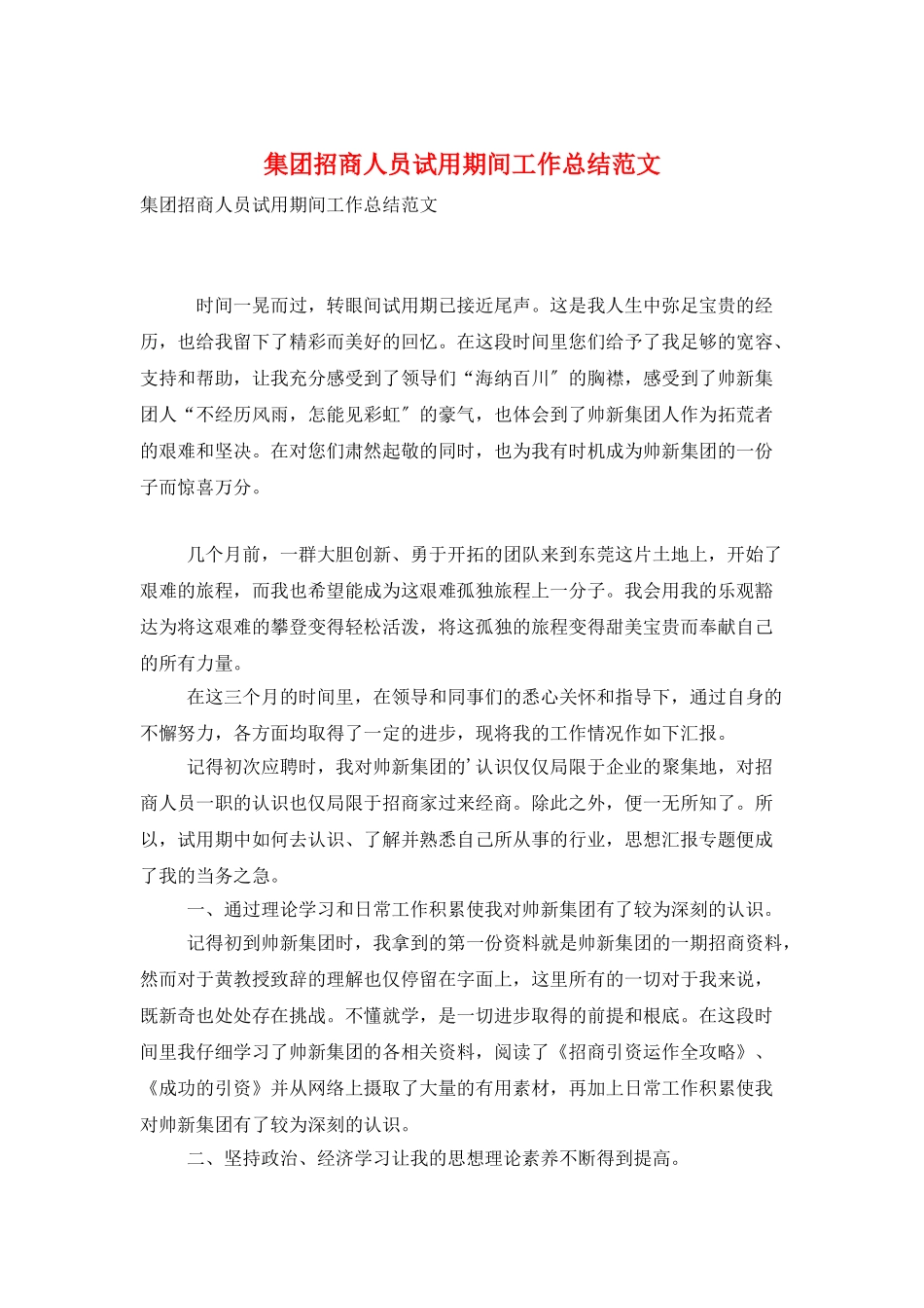 集团招商人员试用期间工作总结范文_第1页