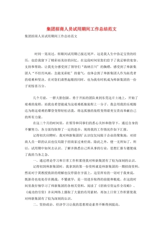 集团招商人员试用期间工作总结范文