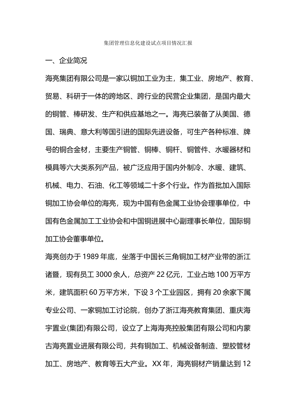 集团管理信息化建设试点项目情况汇报_第1页