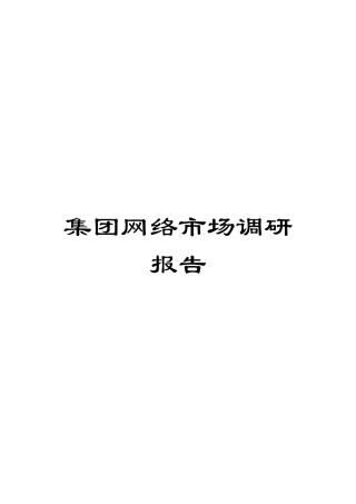 集团网络市场调研报告