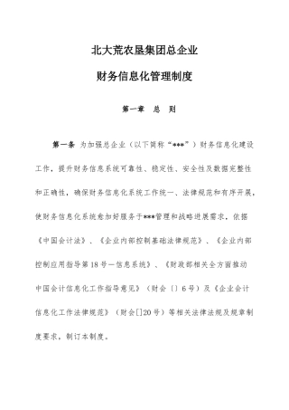集团财务信息化管理新规制度