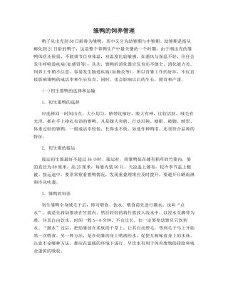 雏鸭的饲养管理