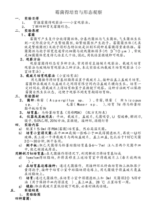 霉菌形态及菌落特征的观察