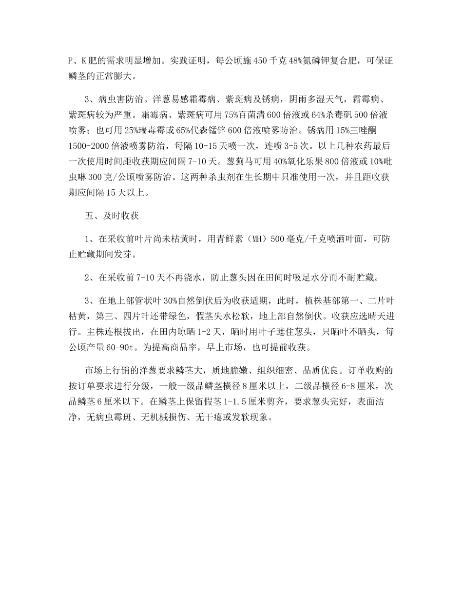 露地洋葱栽培技术_第3页