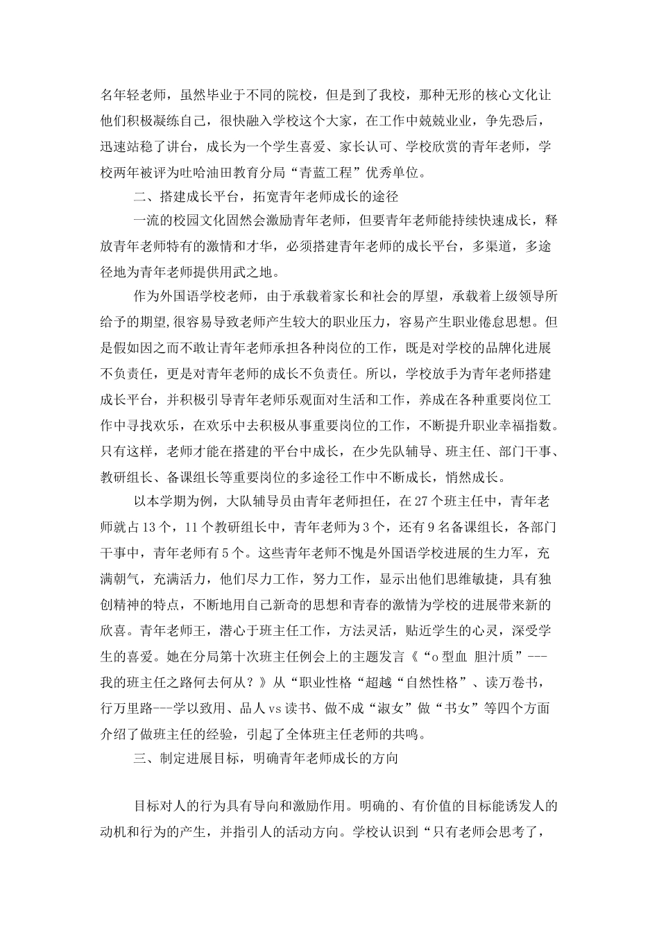 青年教师培养工作总结_第2页