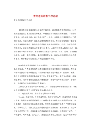 青年教师培养工作总结
