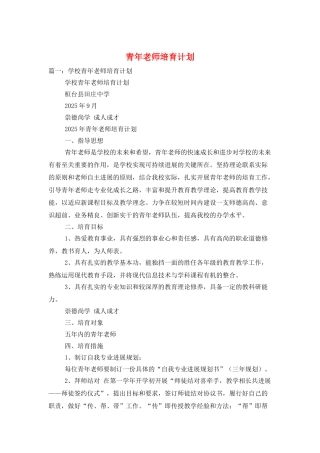 青年教师培养计划