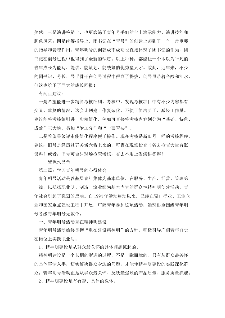 青年文明号考核心得体会_第2页