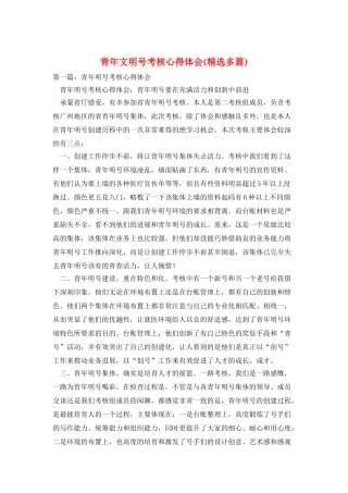 青年文明号考核心得体会