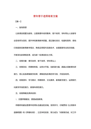 青年骨干教师培养计划
