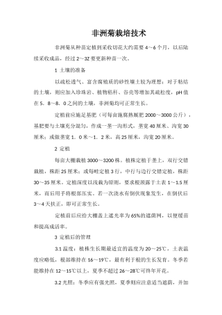 非洲菊栽培技术