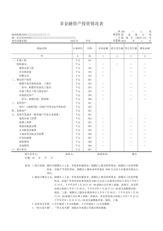 非金融资产投资情况表（正式版）