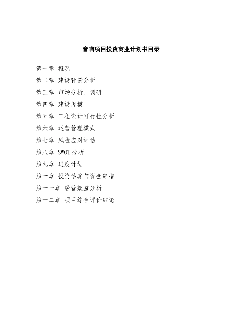 音响项目投资商业计划书范本_第2页