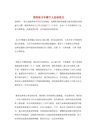 顶岗实习中期个人总结范文