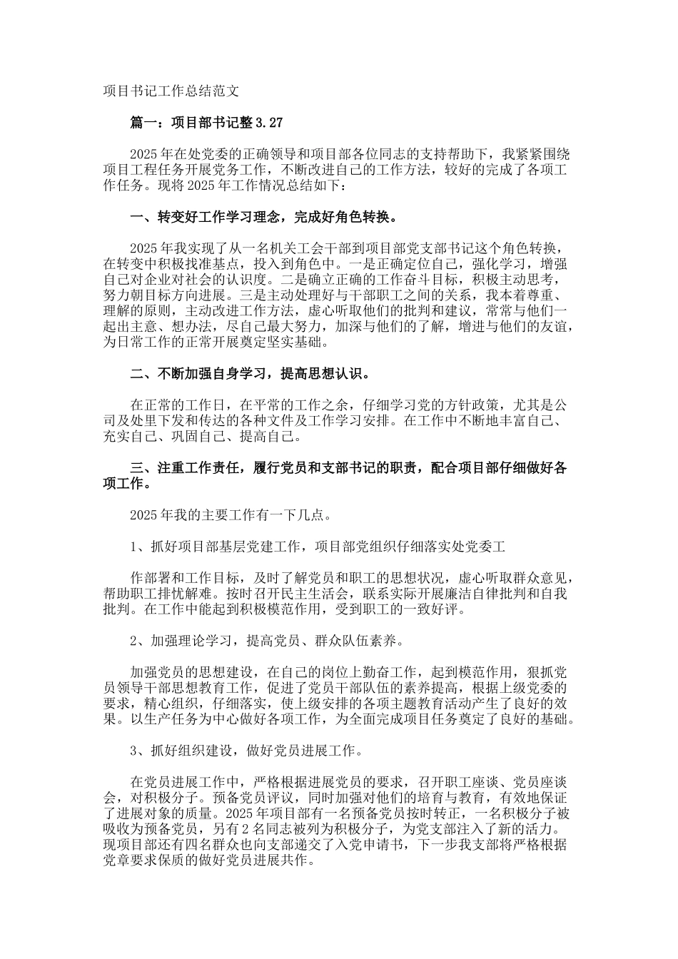项目书记工作总结_第1页