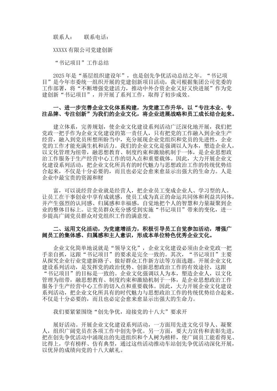 项目书记工作总结_第3页
