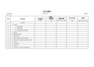项目决算表格模板（标准版）