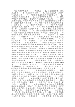 项目实施方案格式