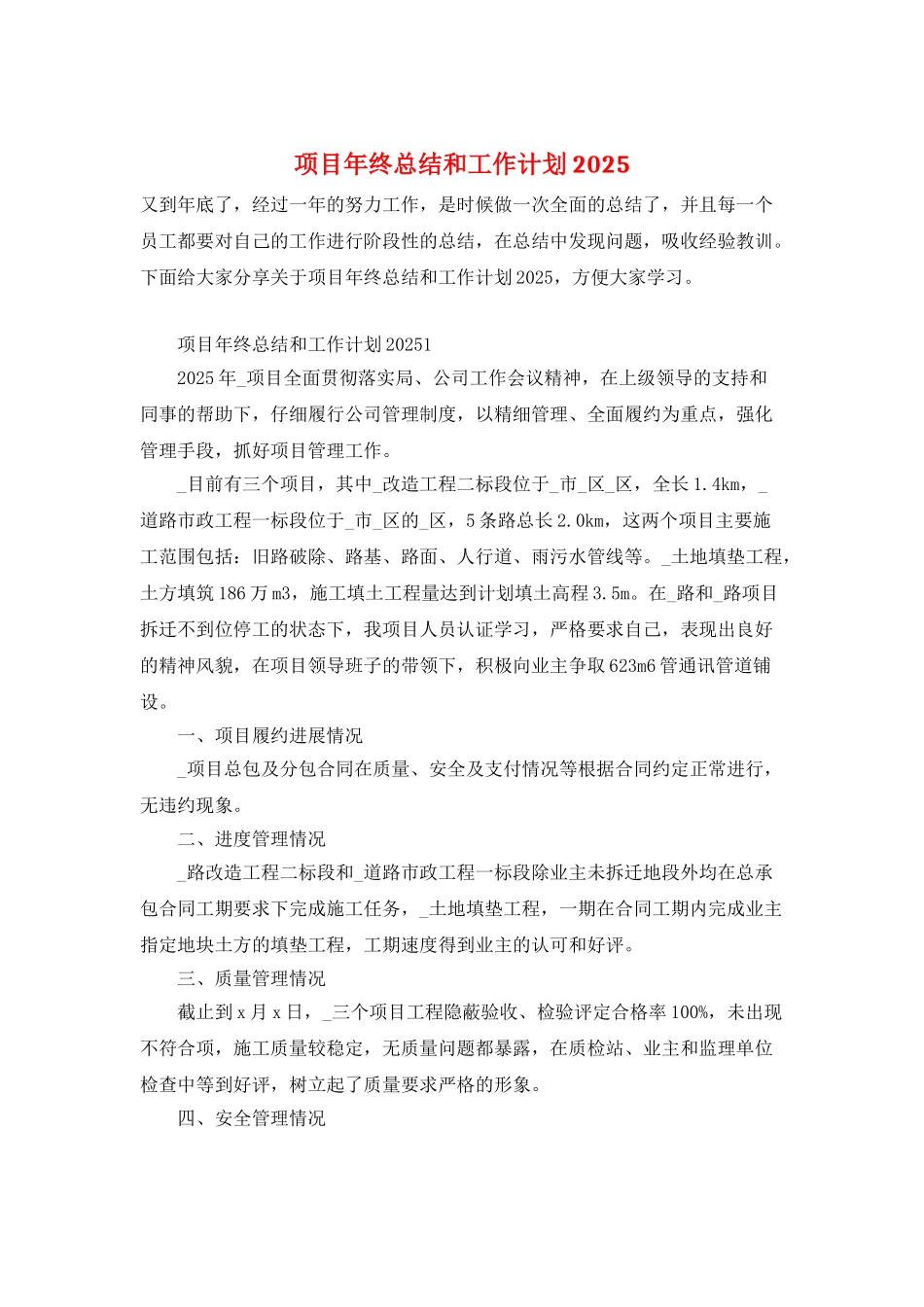 项目年终总结和工作计划2025_第1页