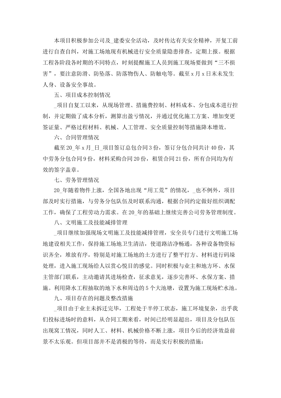 项目年终总结和工作计划2025_第2页