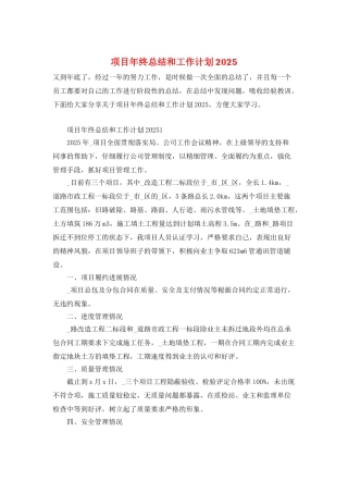 项目年终总结和工作计划2025