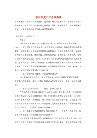 项目年度工作总结参照
