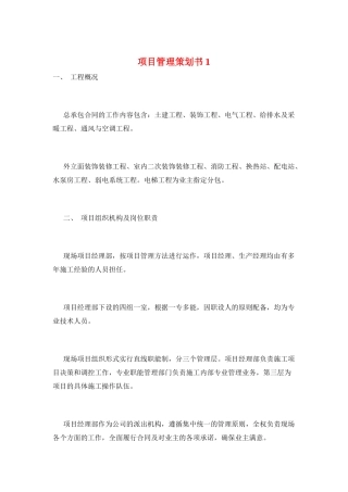 项目管理策划书1