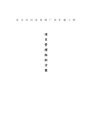 项目管理组织方案