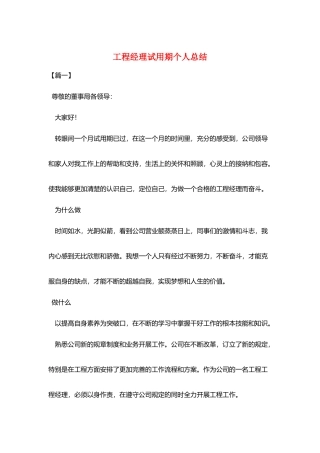 项目经理试用期个人总结