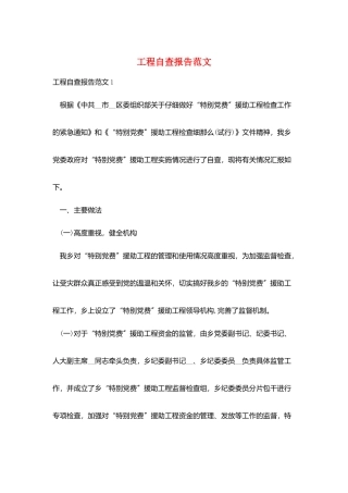 项目自查报告范文