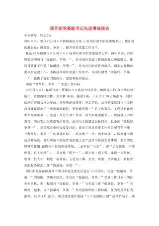 项目部党委副书记先进事迹报告