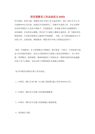 项目预算员工作总结范文2025