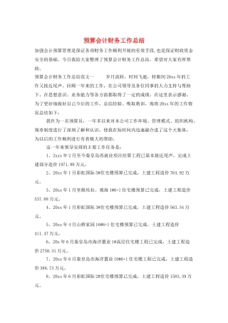 预算会计财务工作总结