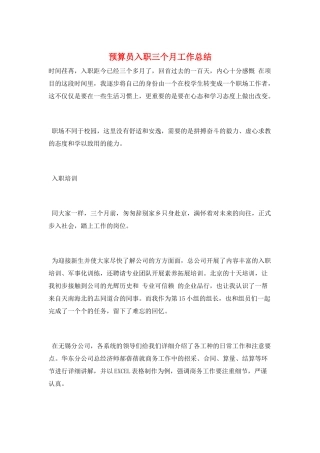 预算员入职三个月工作总结