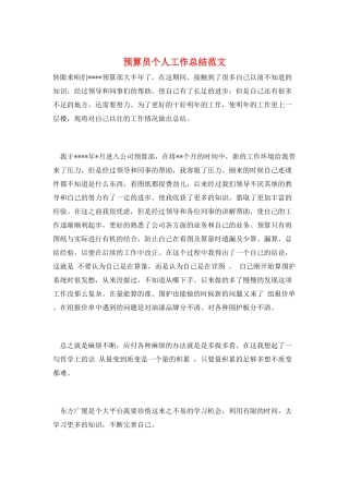 预算员个人工作总结范文