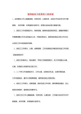 领导给实习优秀员工的评语