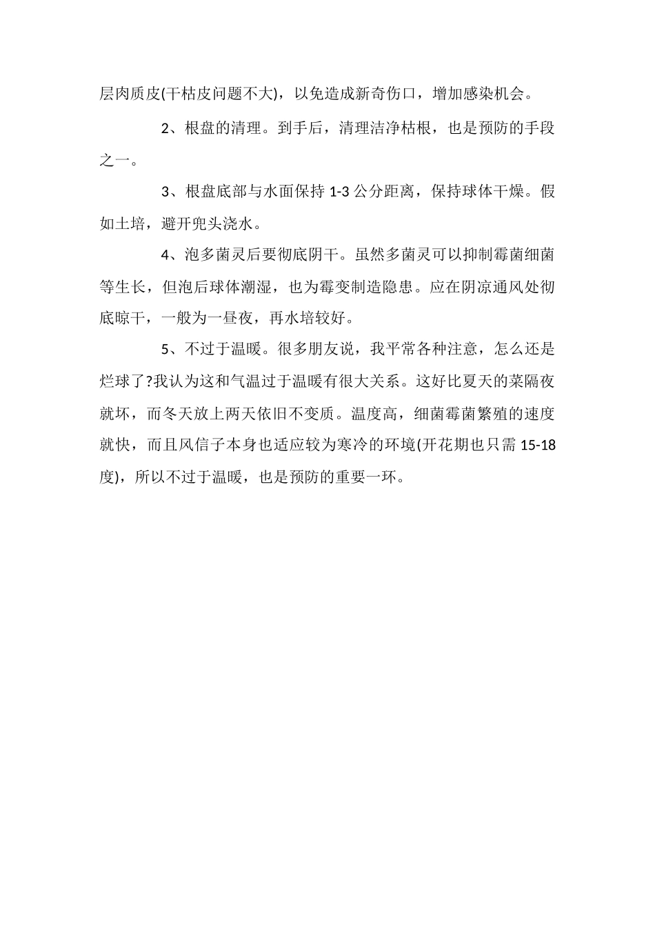 风信子种球发霉的原因及预防_第2页