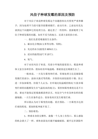 风信子种球发霉的原因及预防