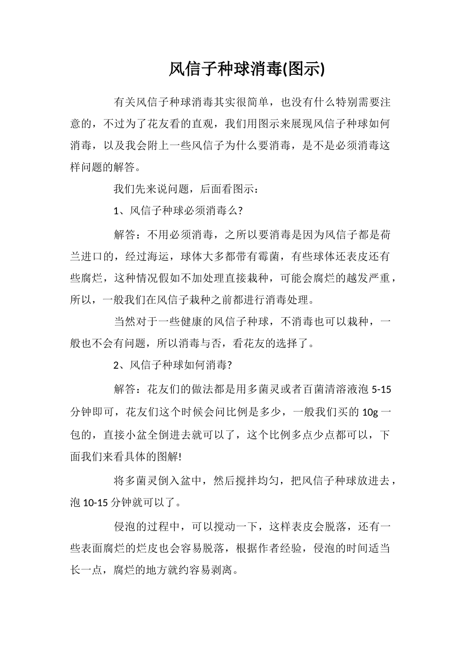 风信子种球消毒_第1页