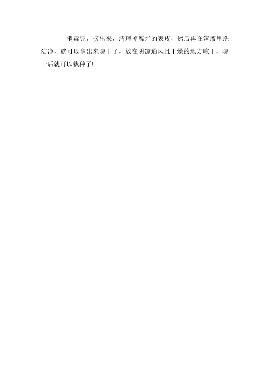 风信子种球消毒_第2页