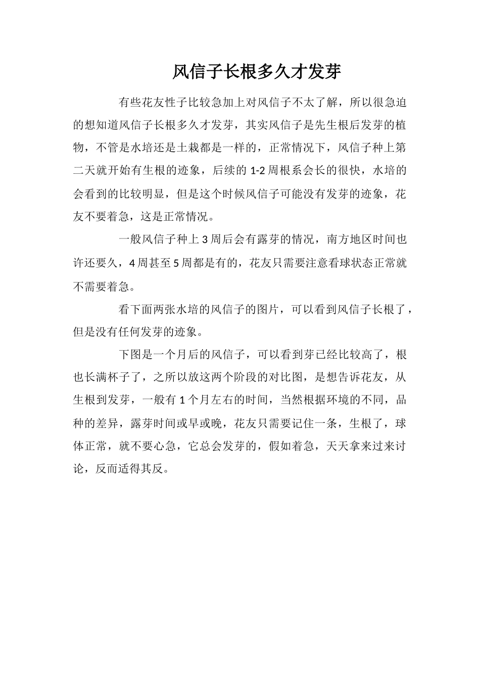 风信子长根多久才发芽_第1页