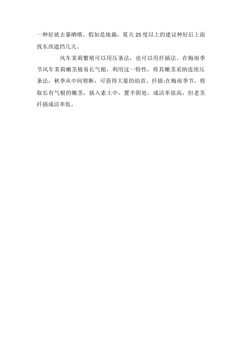 风车茉莉的养殖方法_第2页