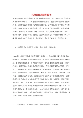 风险部经理述职报告