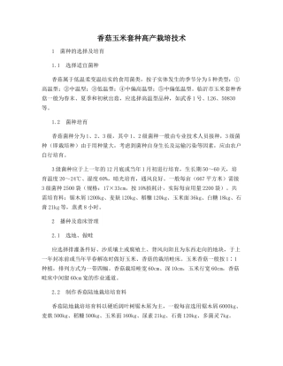 香菇玉米套种高产栽培技术