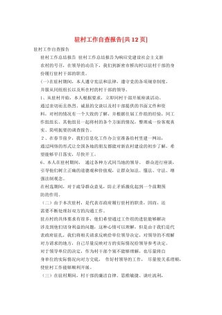 驻村工作自查报告