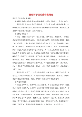 骆驼样子读后感合集精选